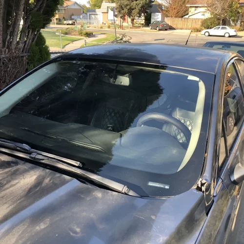 auto glass